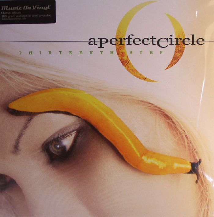 A PERFECT CIRCLE - Thirteenth Step 2LP