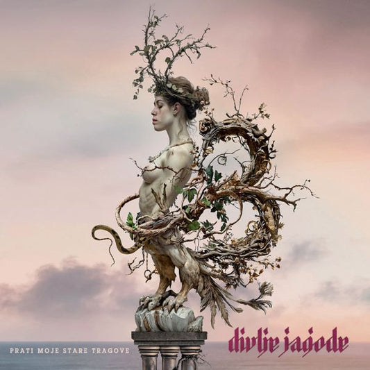 DIVLJE JAGODE - Prati moje stare tragove CD