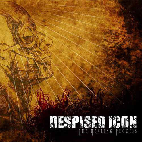 DESPISED ICON - The Healing Process CD