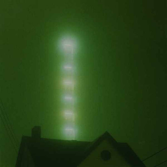 DON CABALLERO - What Burns Never Returns 2LP