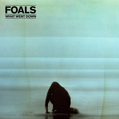 FOALS - What Went Down LP