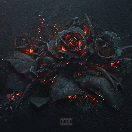 FUTURE - Evol LP