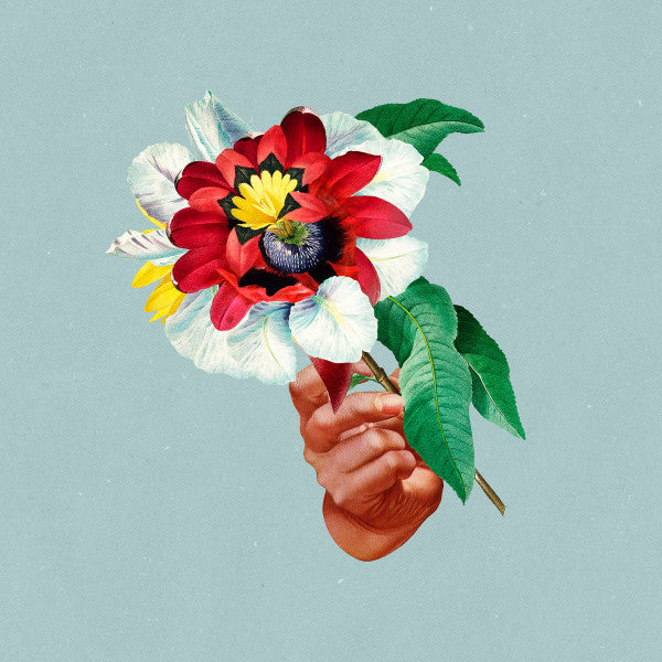 MARIBOU STATE - Kingdoms In Colour LP