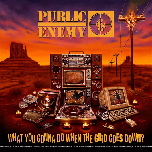 PUBLIC ENEMY - What You Gonna Do When The Grid Goes Down? LP
