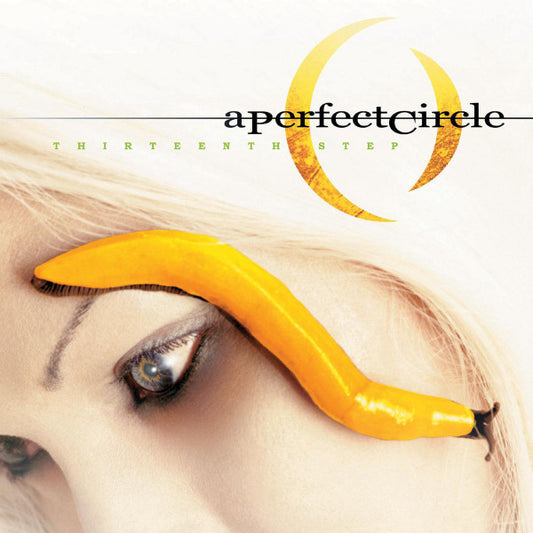 A PERFECT CIRCLE - Thirteenth Step CD