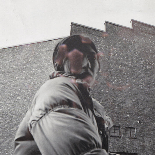 ALDOUS HARDING - Warm Chris CD