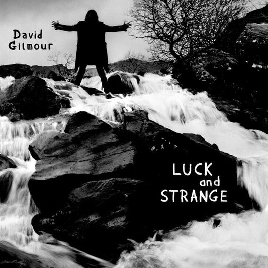 DAVID GILMOUR - Luck And Strange LP