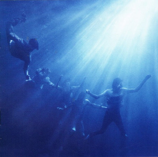 FOALS - Total Life Forever LP