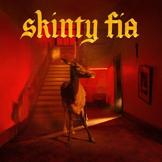 FONTAINES D.C. - Skinty Fia CD