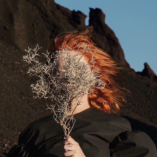 GOLDFRAPP - Silver Eye LP