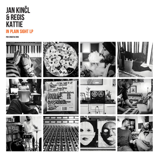 JAN KINČL & REGIS KATTIE - In Plain Sight LP