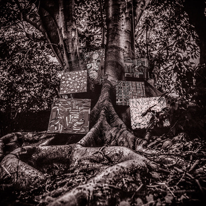 KAMASI WASHINGTON - Harmony Of Difference CD