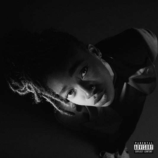 LITTLE SIMZ - Grey Area LP