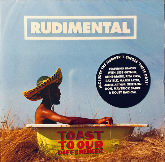 RUDIMENTAL - TOAST TO OUR DIFFERENCES 2LP
