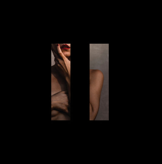 THE SIIDS - Brutalist LP