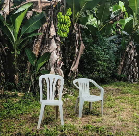 BAD BUNNY - Debi Tirar Mas Fotos LP