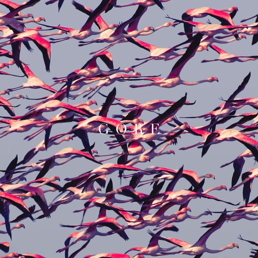 DEFTONES - Gore CD
