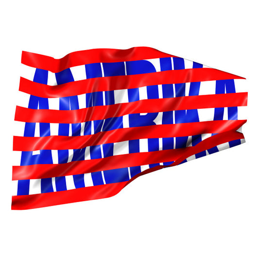 DAMIR AVDIĆ - Amerika CD+Book