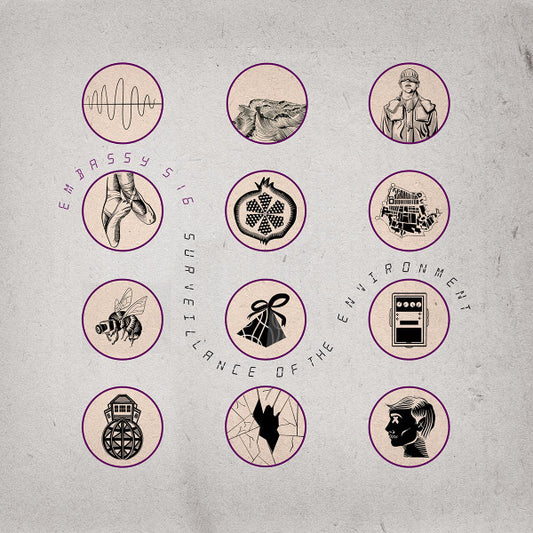 EMBASSY 516 - Surveillance of the Environment (10th Anniversary Edition) LP