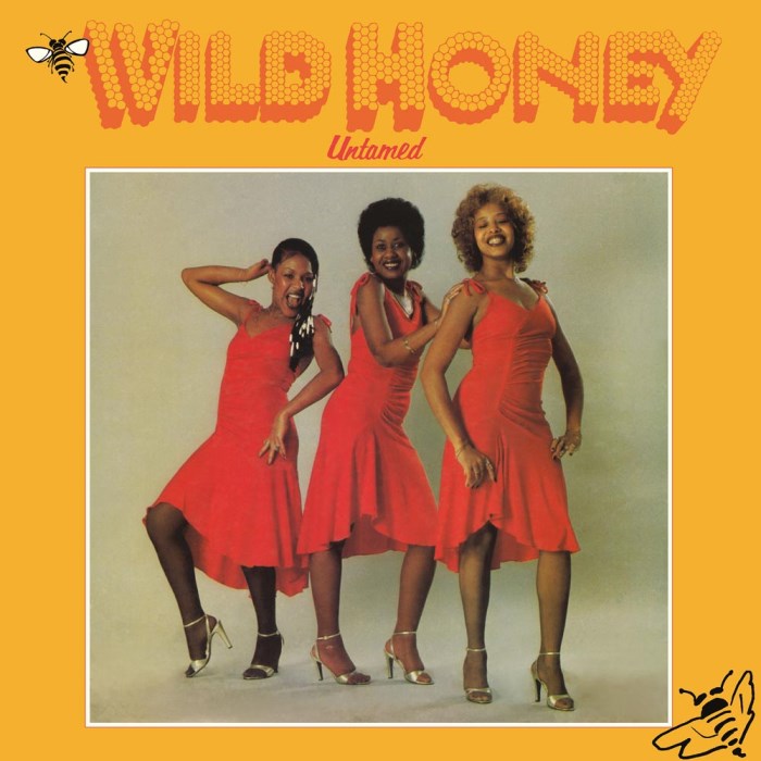 WILD HONEY - Untamed LP