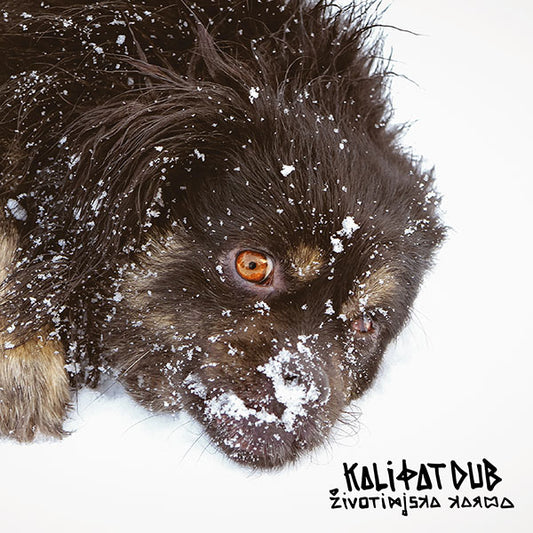 KALI FAT DUB - Životinjska karma CD