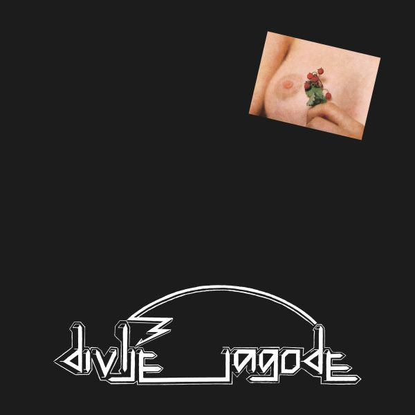 DIVLJE JAGODE - Divlje jagode LP