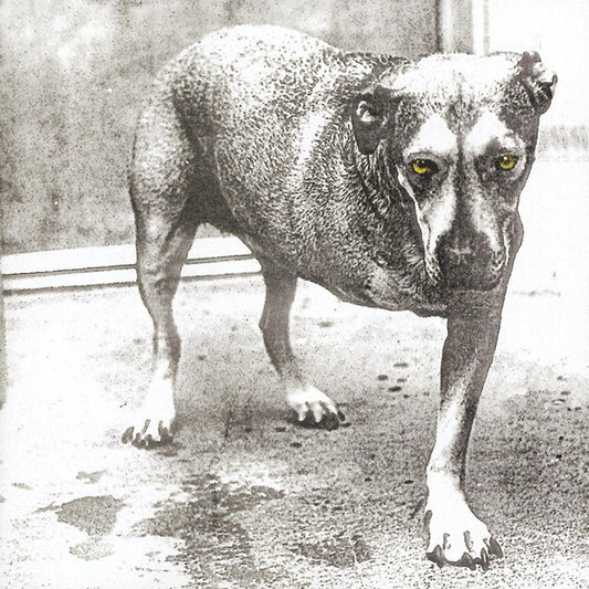 ALICE IN CHAINS - Alice In Chains CD
