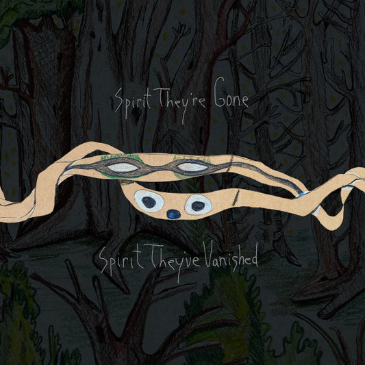 ANIMAL COLLECTIVE - Spirit They're Gone Spirit They've Vanished 2LP