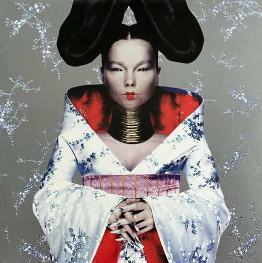BJORK - Homogenic LP