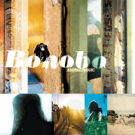 BONOBO - Animal Magic LP