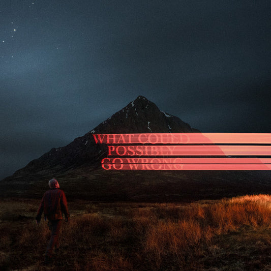 DOMINIC FIKE - What Could Possibly Go Wrong LP