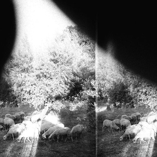 GODSPEED YOU! BLACK EMPEROR - Asunder, Sweet And Other Distress LP