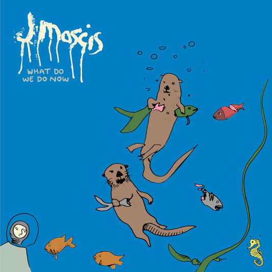 J MASCIS - What Do We Do Now LP