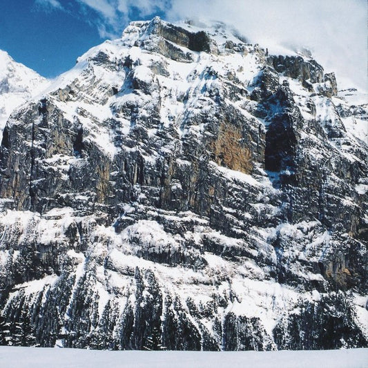 MOLOKO - I Am Not A Doctor 2LP