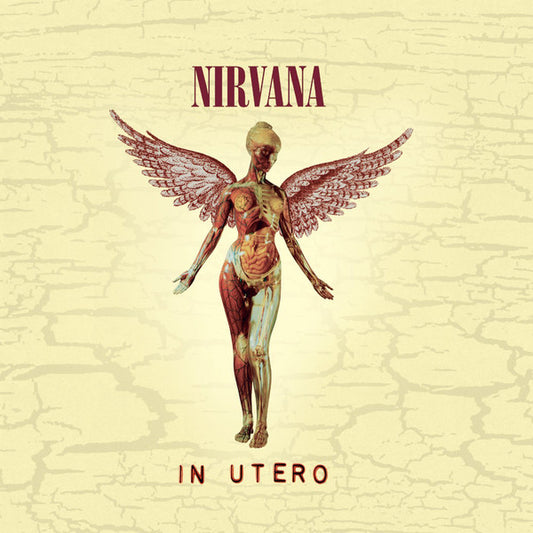 NIRVANA - In Utero 2CD