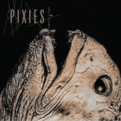 PIXIES - Complete B Sides 2LP