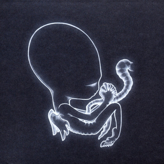 SIGUR ROS - Ágætis Byrjun 2LP