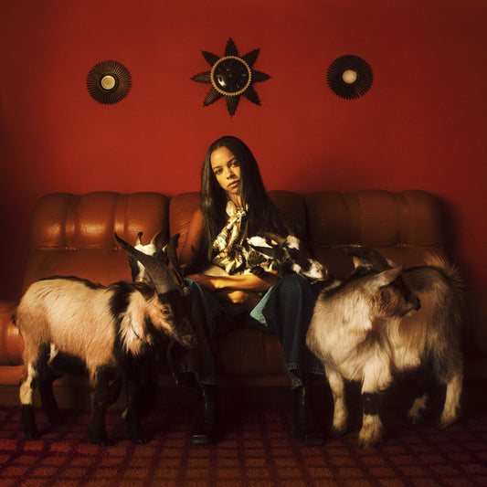TSHA - Capricorn Sun 2LP